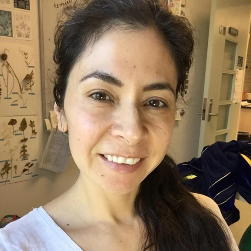 <strong>—</strong><em><strong>Paula I.</strong></em><em> desde La Serena</em>